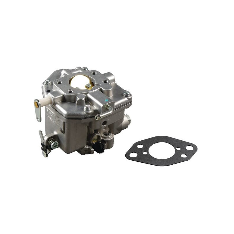 Carburatore Briggs e Stratton - 809011