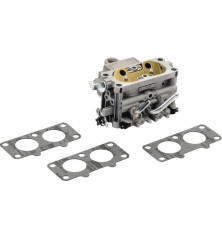 Carburatore Briggs e Stratton - 808626