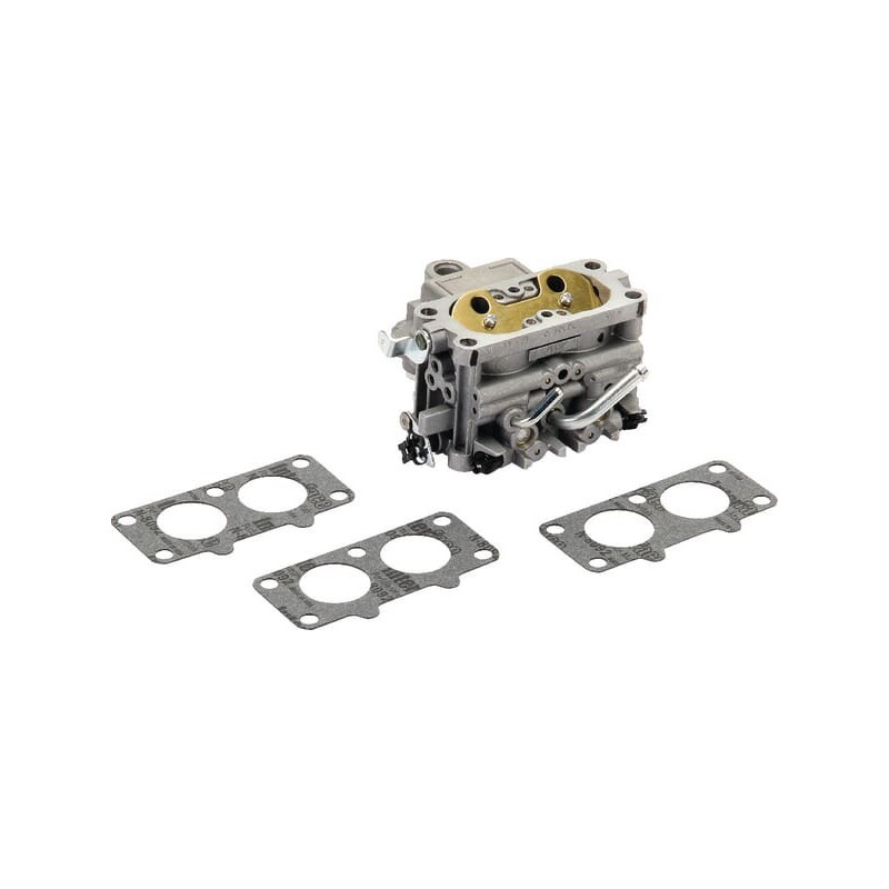 Carburatore Briggs e Stratton - 808626