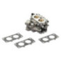 Carburatore Briggs e Stratton - 808626