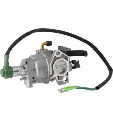 Carburateur Briggs et Stratton - 799773