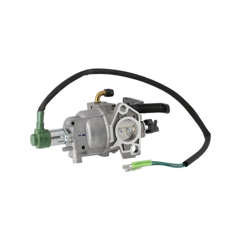 Carburateur Briggs et Stratton - 799773