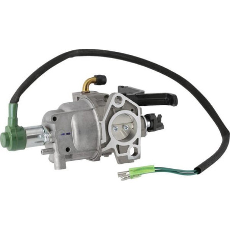 Carburateur Briggs et Stratton - 799773