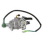 Carburateur Briggs et Stratton - 799773