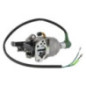 Carburateur Briggs et Stratton - 799773