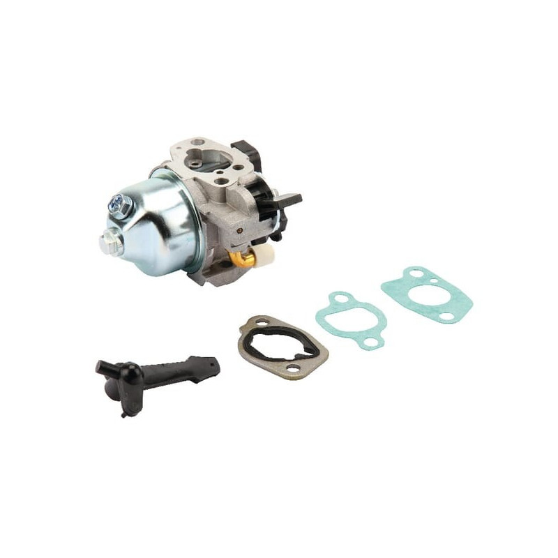 Carburateur Briggs et Stratton - 797283