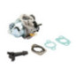 Carburatore Briggs et Stratton - 797283
