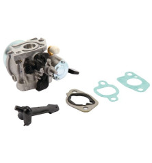 Carburatore Briggs e Stratton - 797283 2