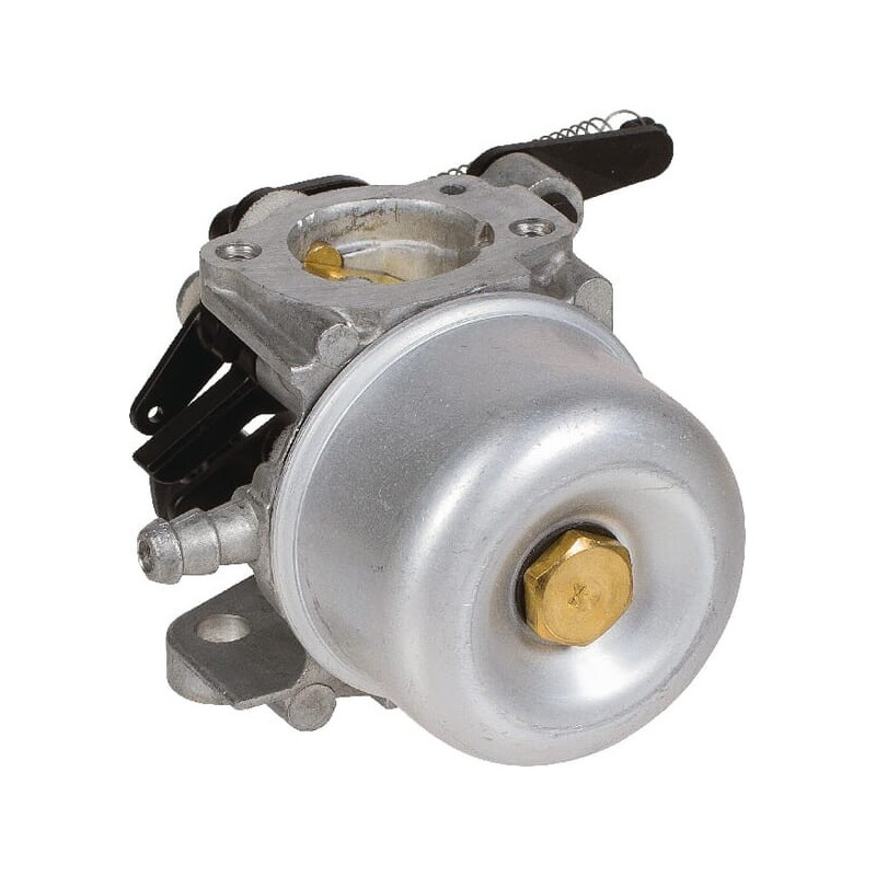 Carburatore Briggs et Stratton - 796608