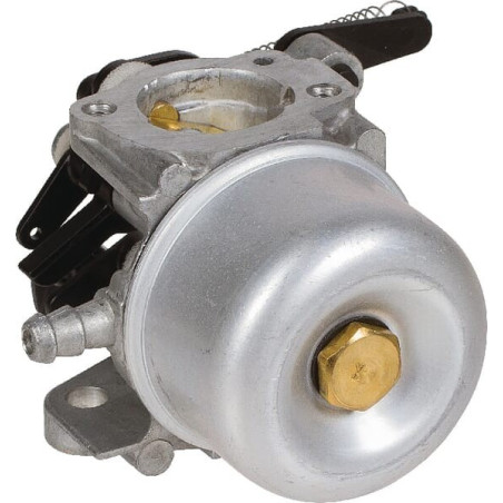 Carburatore Briggs e Stratton - 796608
