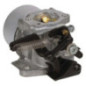 Carburatore Briggs et Stratton - 796608