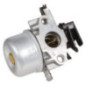 Carburatore Briggs et Stratton - 796608