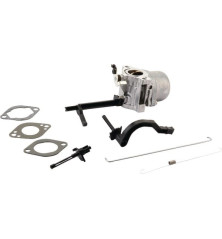 Carburatore Briggs e Stratton - 796543