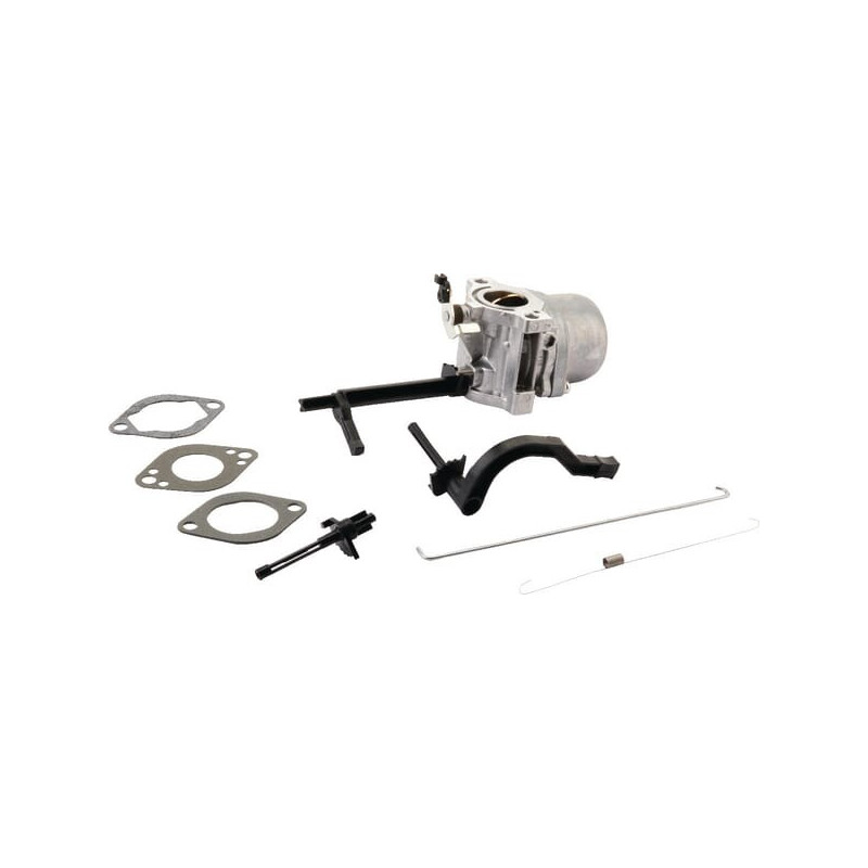 Carburatore Briggs et Stratton - 796543