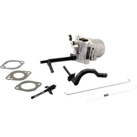 Carburatore Briggs e Stratton - 796543