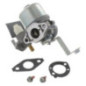 Carburador Briggs e Stratton - 796447