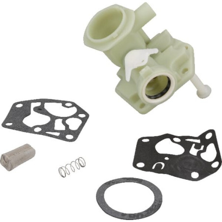 Carburatore Briggs e Stratton - 795476