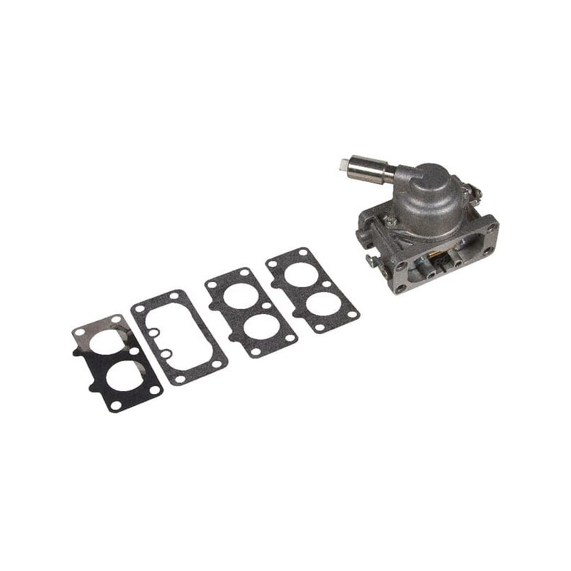 Carburador Briggs y Stratton - 792295