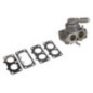 Carburador Briggs y Stratton - 792295