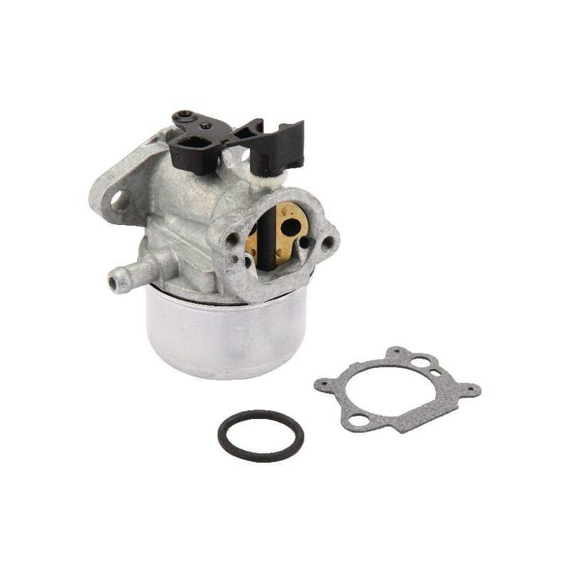 Carburateur Briggs et Stratton - 790978