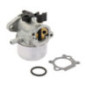 Carburateur Briggs et Stratton - 790978