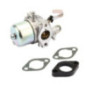 Carburateur Briggs et Stratton - 716154