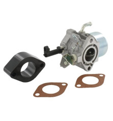 Carburador Briggs y Stratton - 715783