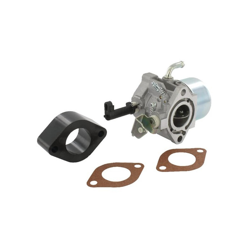 Carburateur Briggs et Stratton - 715783