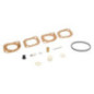 Carburatore Briggs e Stratton - 715707
