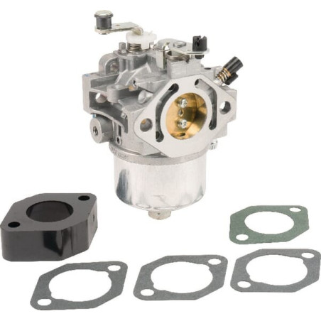 Carburatore Briggs e Stratton - 715572