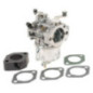 Carburatore Briggs et Stratton - 715572