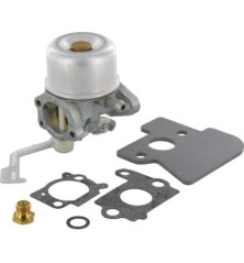 Carburador Briggs e Stratton - 698055