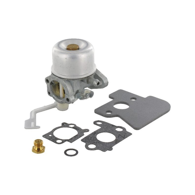 Carburateur Briggs et Stratton - 698055