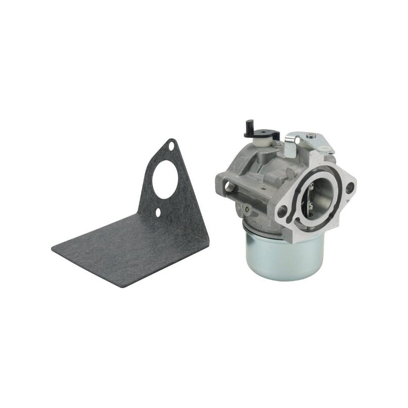 Carburateur Briggs et Stratton - 690119