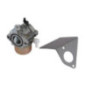 Carburador Briggs e Stratton - 690117