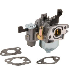 Carburatore Briggs e Stratton - 596079