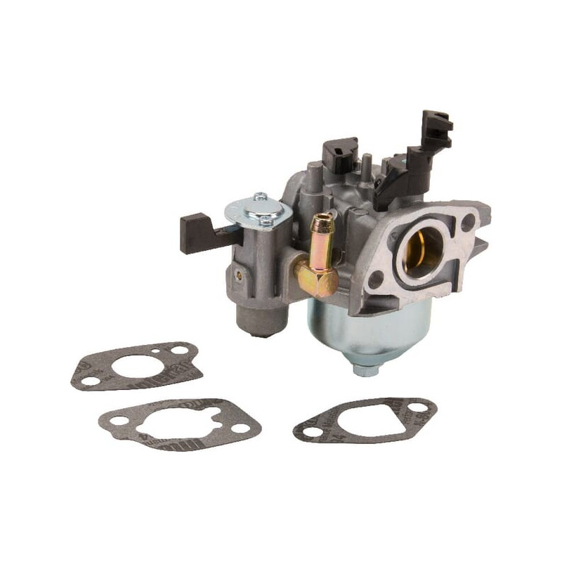 Carburateur Briggs et Stratton - 596079