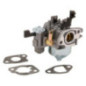 Carburador Briggs e Stratton - 596079