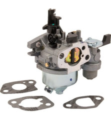 Carburatore Briggs e Stratton - 596079 2