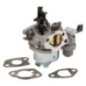 Carburatore Briggs et Stratton - 596079