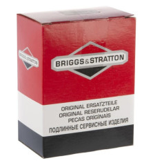 Carburador Briggs y Stratton - 595776