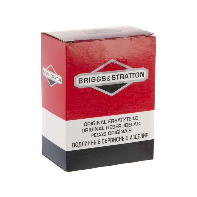 Carburateur Briggs et Stratton - 595776