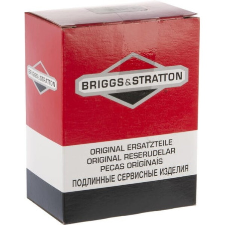 Carburateur Briggs et Stratton - 595776