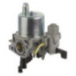 Carburatore Briggs et Stratton - 595776