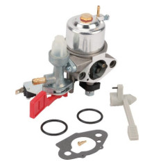 Carburateur Briggs et Stratton - 595318