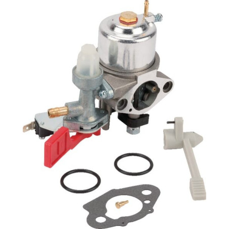 Carburateur Briggs et Stratton - 595318