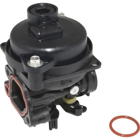 Carburatore Briggs e Stratton - 594796