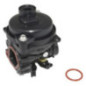 Carburador Briggs e Stratton - 594796