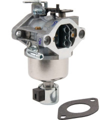 Carburatore Briggs e Stratton - 594601WM