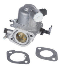 Carburatore Briggs e Stratton - 594207